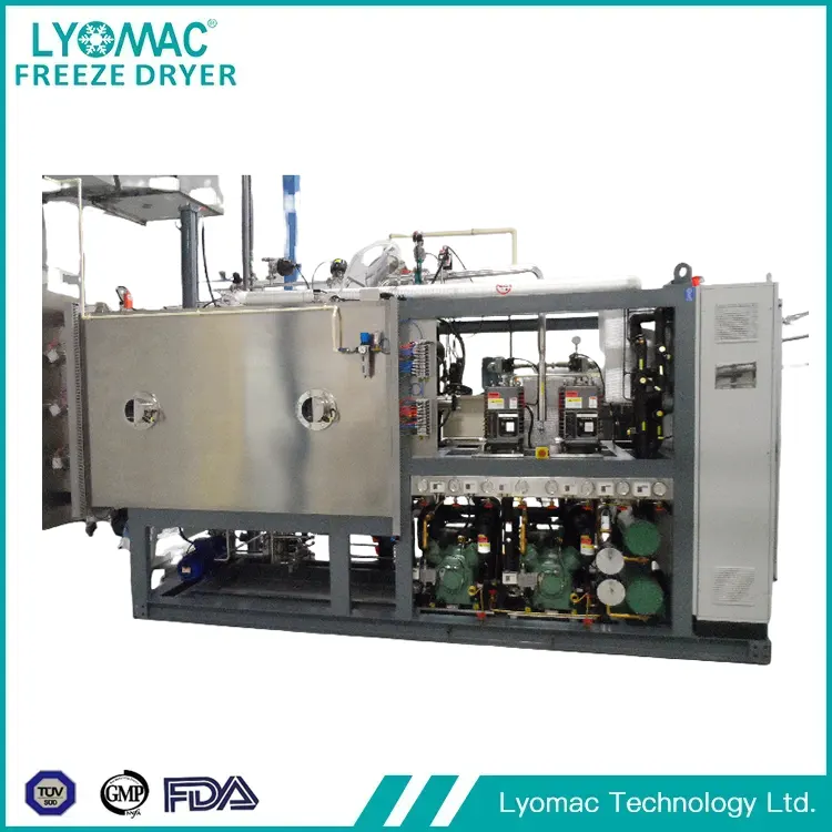 L'avant-garde mondiale de la lyophilisation : LYOMAC TECHNOLOGY LTD et l'avenir du traitement stérile