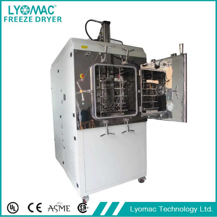 Machine de lyophilisation de fruits